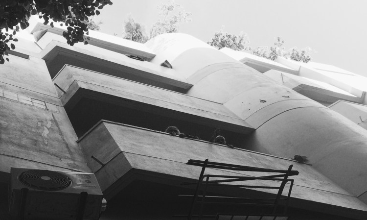 Processed with VSCOcam with b1 preset